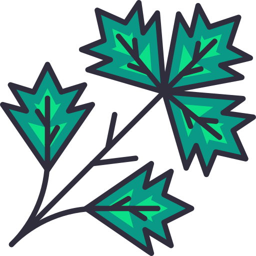 icon of a bunch of herbs

icon from flaticon.com