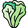icon of a head of lettuce

Icon from flaticon.com